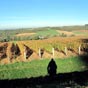 Le chemin passe dans les vignes.